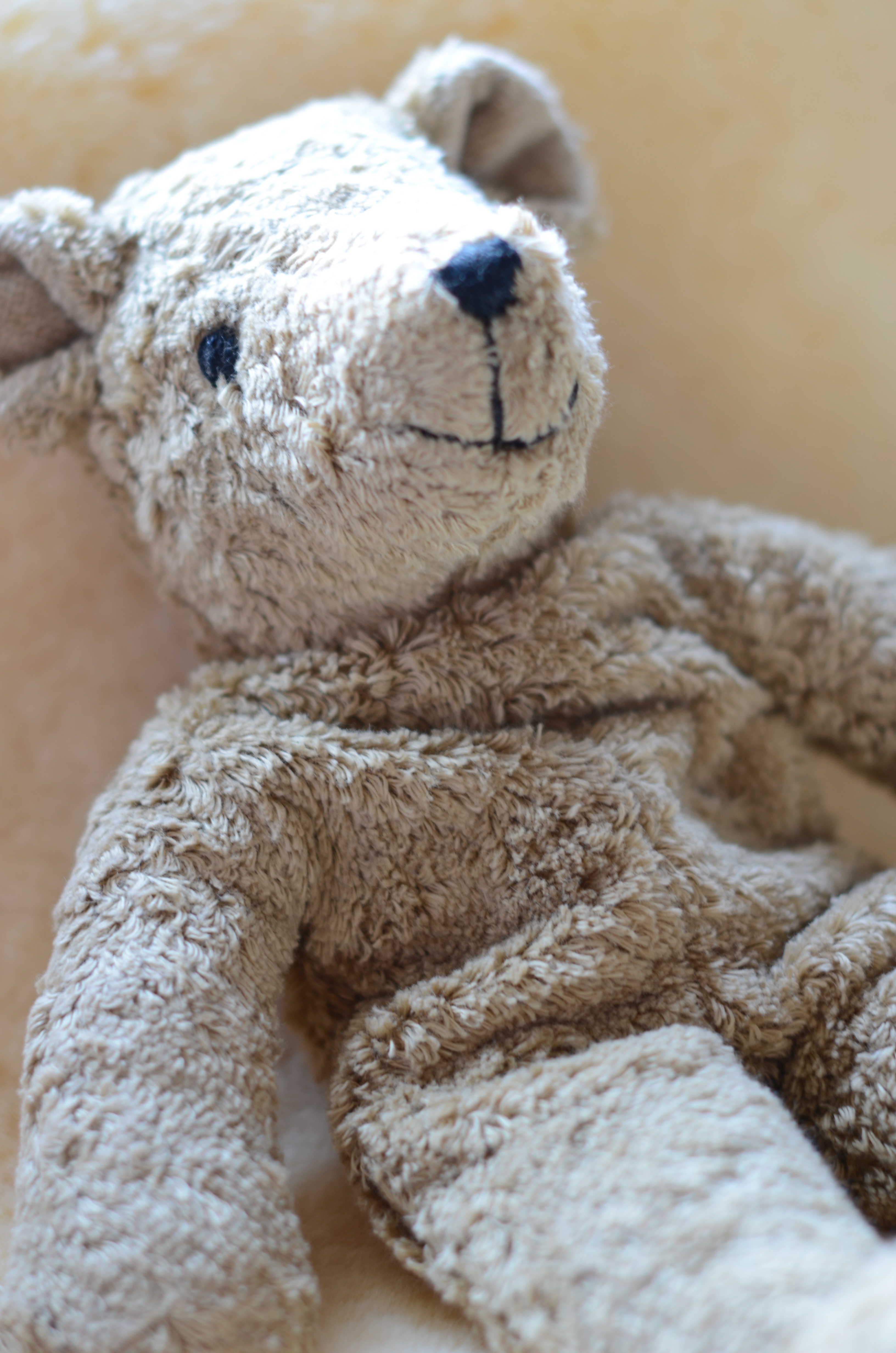 mummy teddy bear